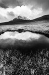 Forgotten Land