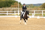 SBM_012355