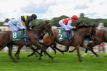 210826-Race 2-Al Nayyir-5304