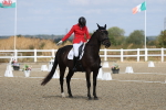 SBM_020982