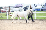SBM_18906