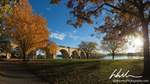 DSC_3892-Pano