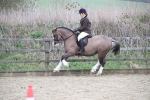 SBM_007239