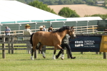 SBM_02078