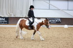 SBM_006312