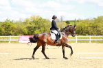SBM_000443