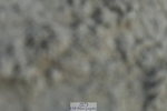 230314A-114006-00304