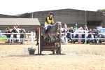 SBM_001495