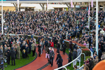 130326-Race 5-Gaelic Warrior-2934