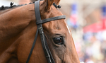 220826-179 Mr Hollywood