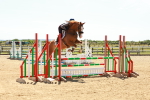 SBM_006652