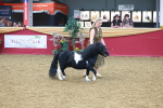 SBM_16604