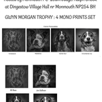 External Competition Results portfolio