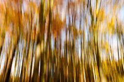 Abstracts portfolio