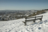 View from Reigate Hill