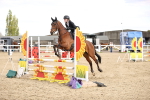SBM_003954