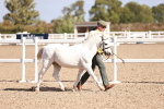 SBM_22763