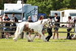 SBM_04134