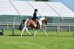 SBM_11585