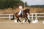 SBM_009669