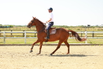 SBM_000563