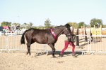 SBM_00177
