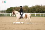 SBM_006535