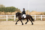 SBM_001895