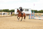 SBM_005919