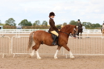 SBM_16917