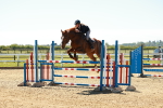 SBM_001189