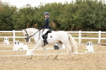 SBM_003646