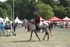 SPXX0976