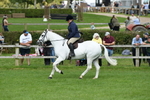 SBM_46827