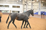 SBM_000092