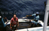Blue Marlin - Kenya.
