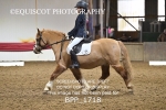 BPP_1718