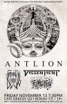 antlion nov 13th 2015