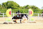 SBM_007044