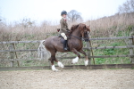 SBM_006331
