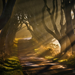 Path Through the Light