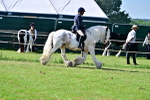 SBM_09468