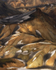 Landmannalaugar_0531