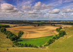 Dorset-10