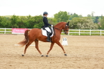 SBM_006264