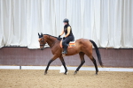 SBM_000193