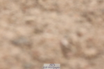 240706A-110808-01247