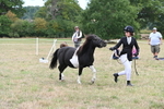 WJ6_5532