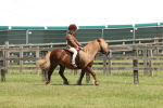 SBM_05378