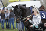Dingley Races The Woodland Pytchley Hunt PtP 08/04/23 portfolio